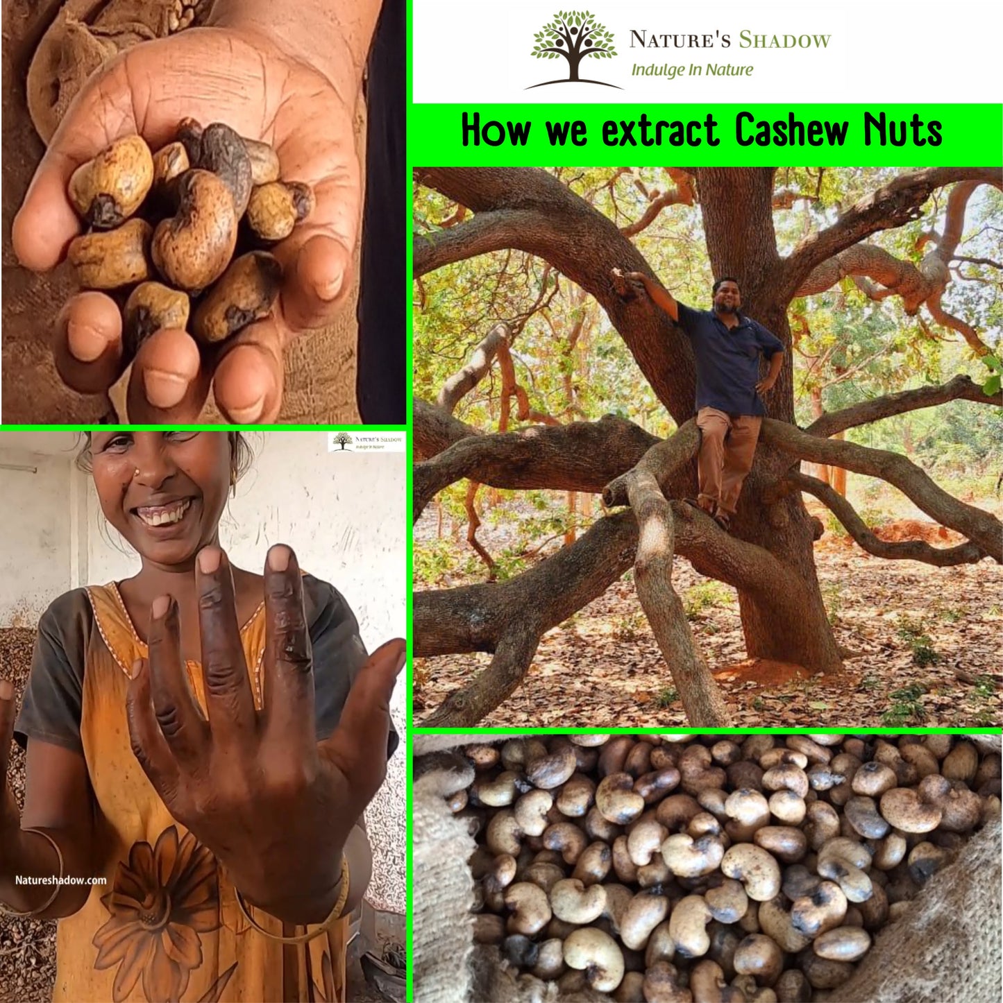Country Cashew Nuts - Grade One