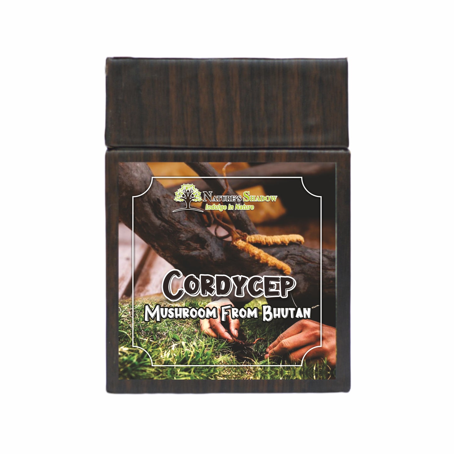 Cordycep From The Bhutanese Wild - Laya Valley - 1 Pc