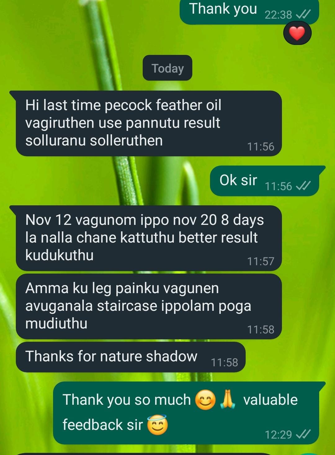 Genuine Peacock Feather Oil / Mayilennai - For Bone Problems and Fracture Cure - External Uses Only