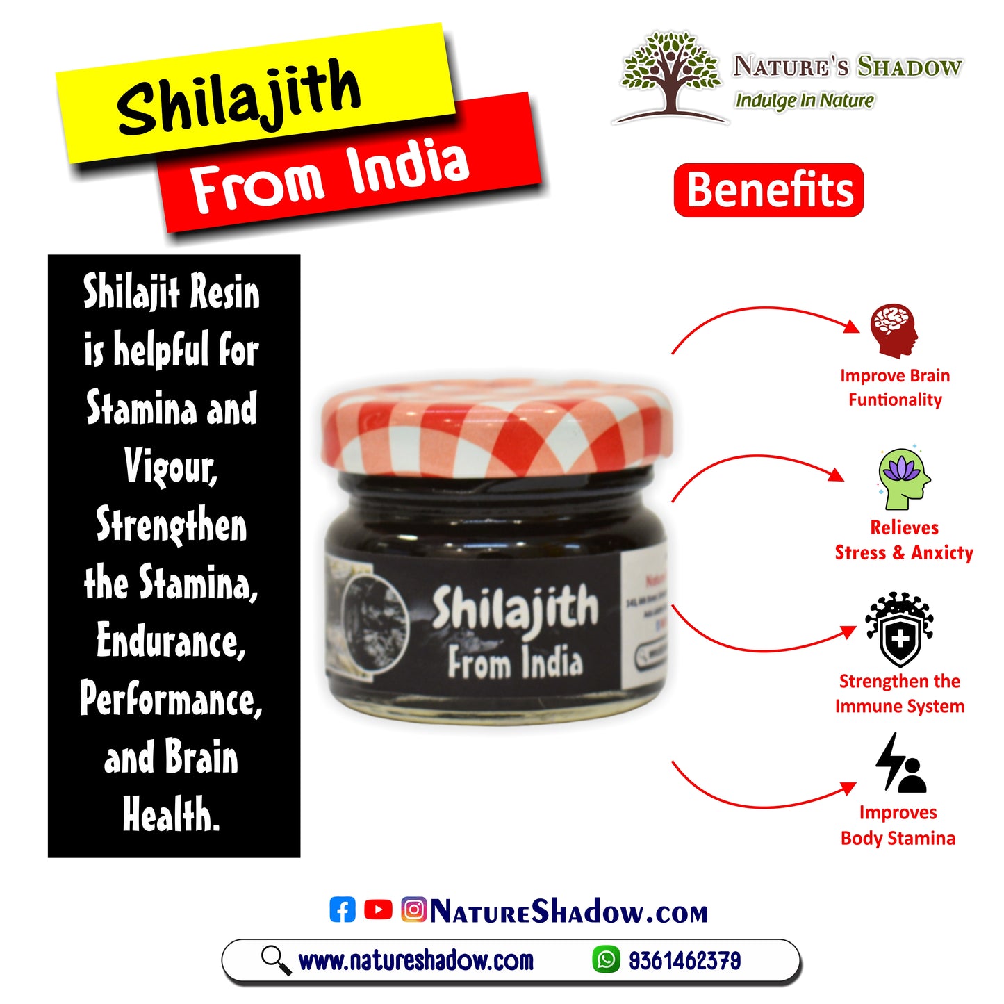 Shilajit Resin Original (Indian) - 100 Grams