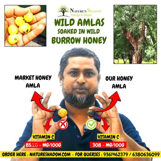 Wild Amlas Soaked In Wild Forest Burrow Honey